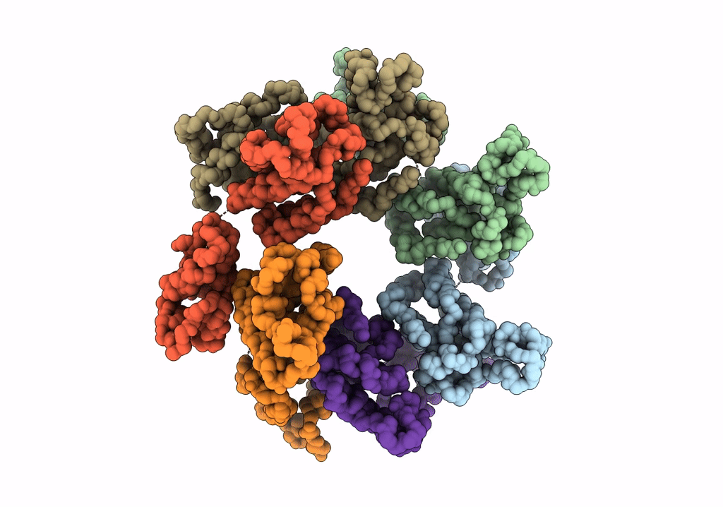 7NO5 image