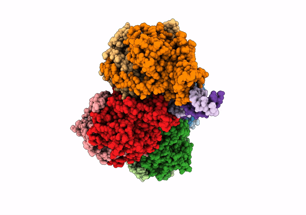 7NPF image