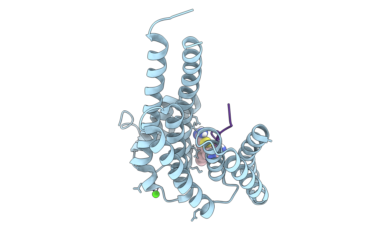 7NPG image