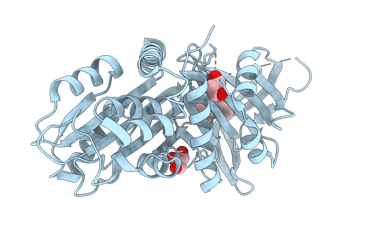 7NPK image
