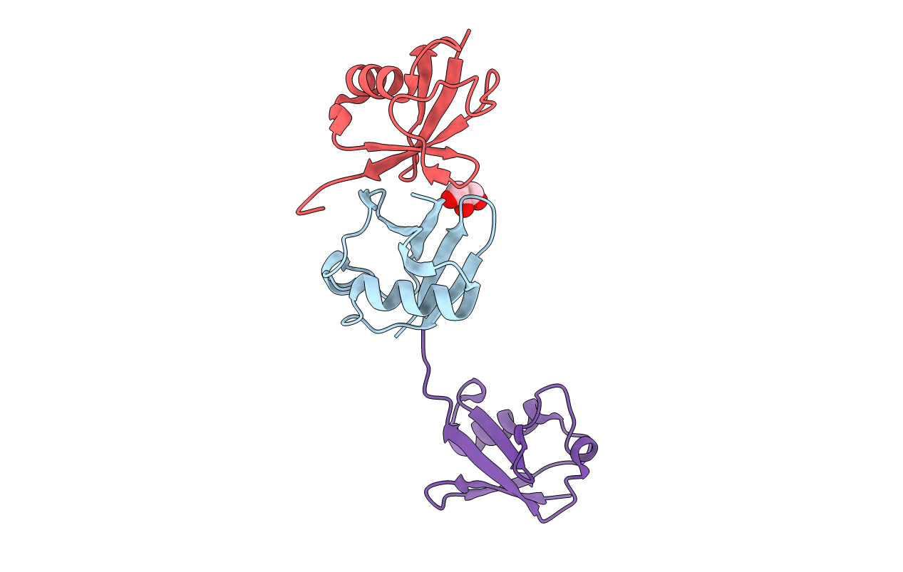 7NPO image