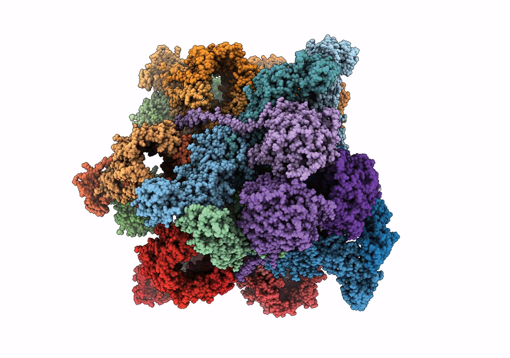 7NPR image