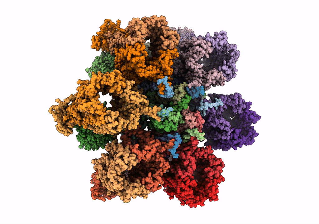 7NPU image