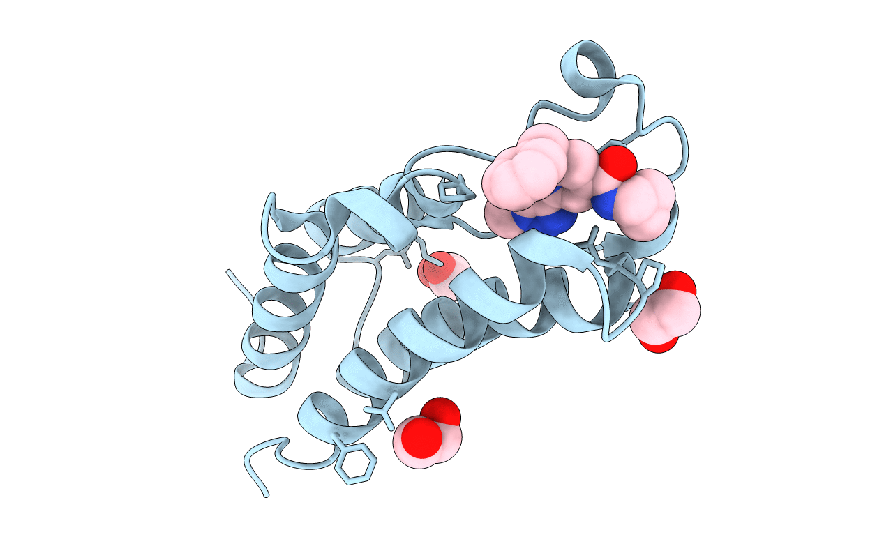 7NQI image
