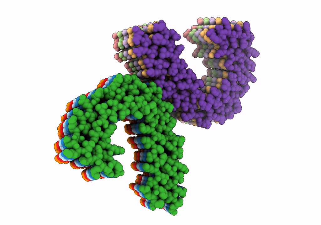 7NRS image