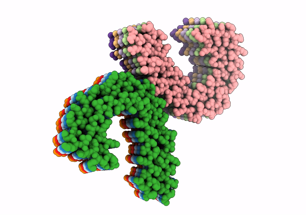 7NRT image