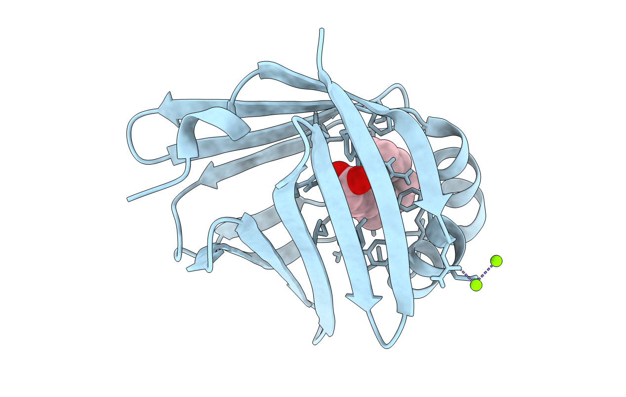 7NRW image