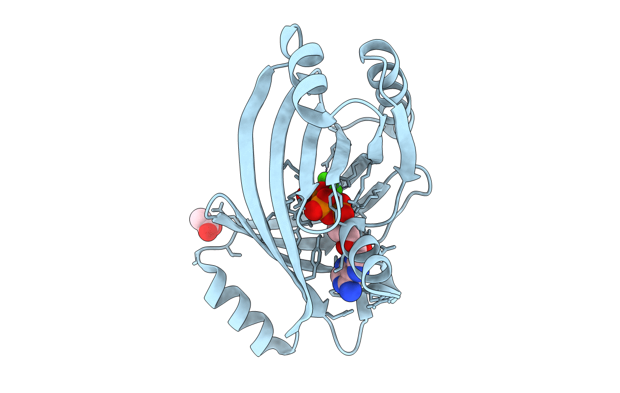 7NSD image