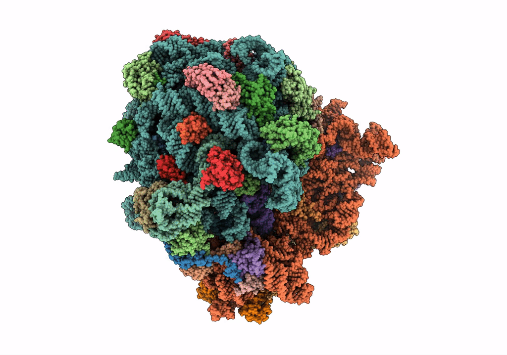 7NSQ image