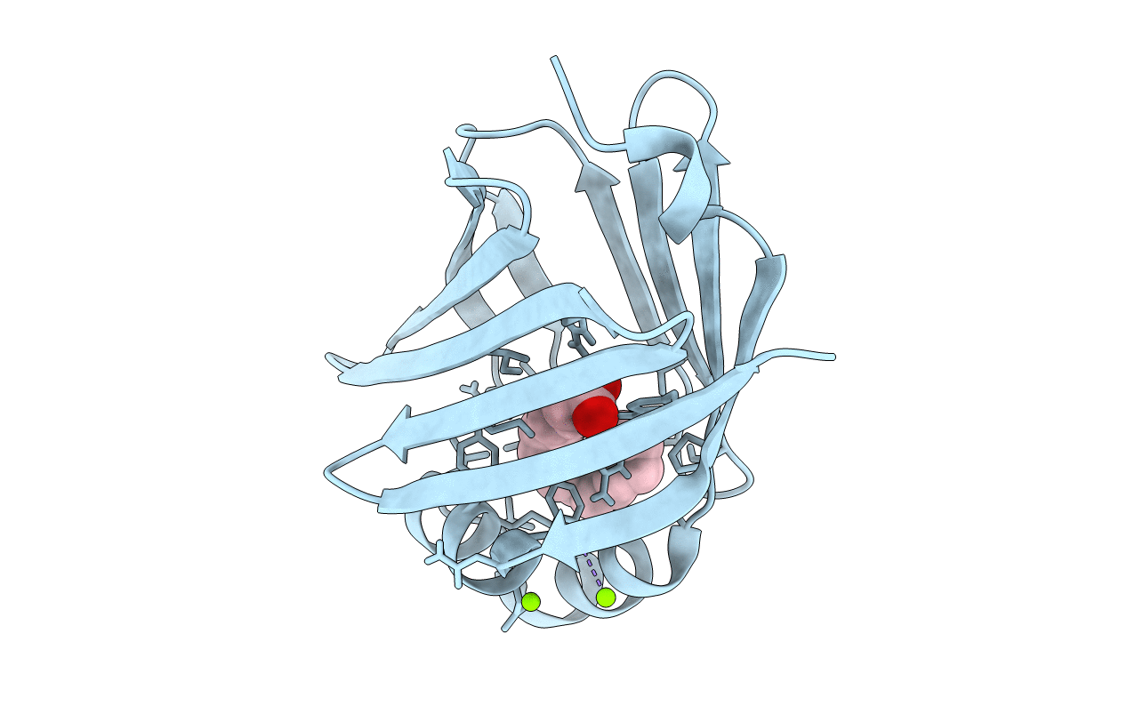 7NSR image
