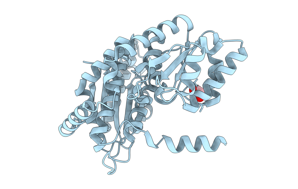 7NSS image