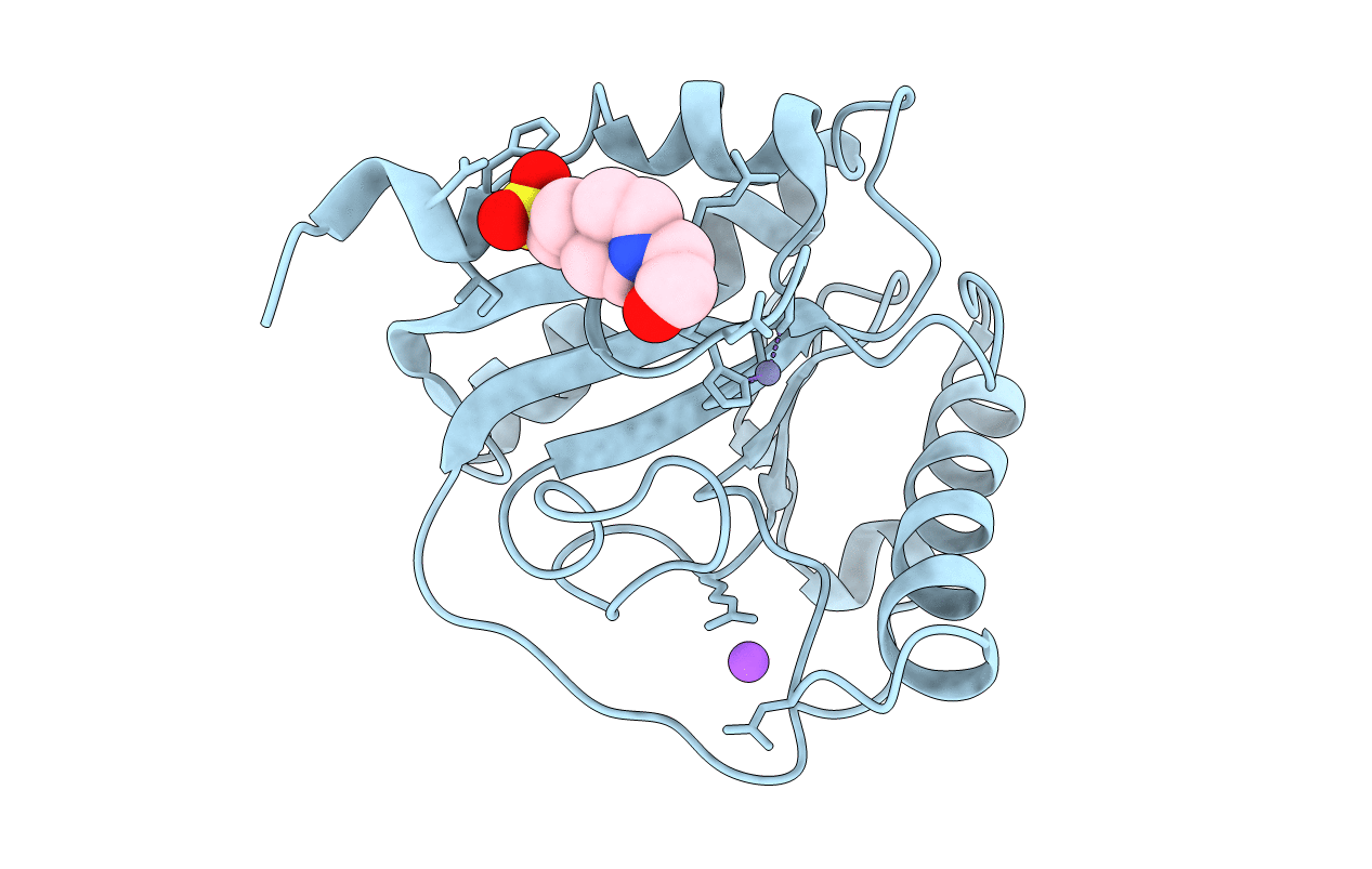 7NSZ image