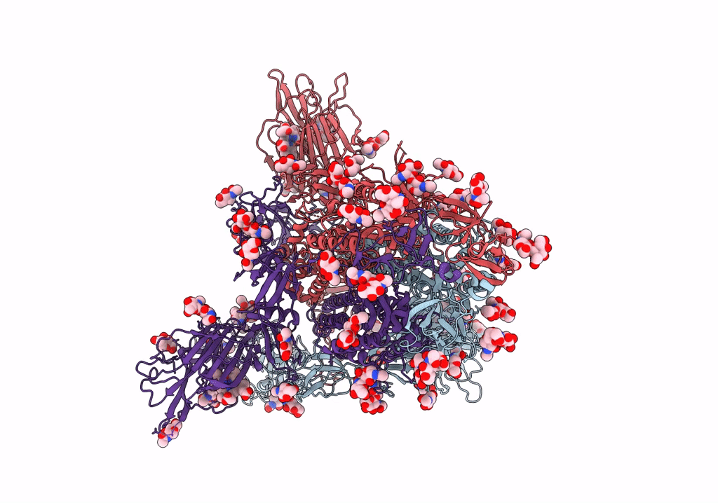 7NTA image