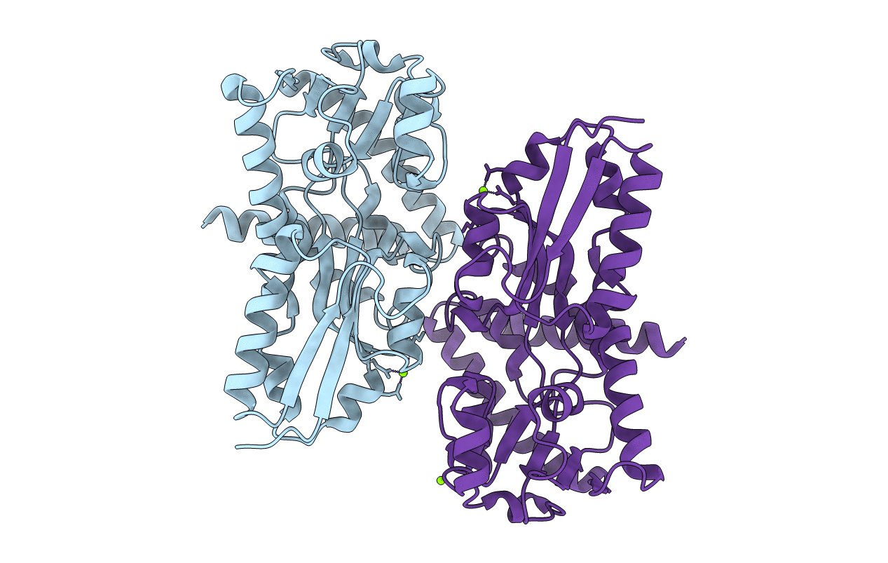 7NTE image