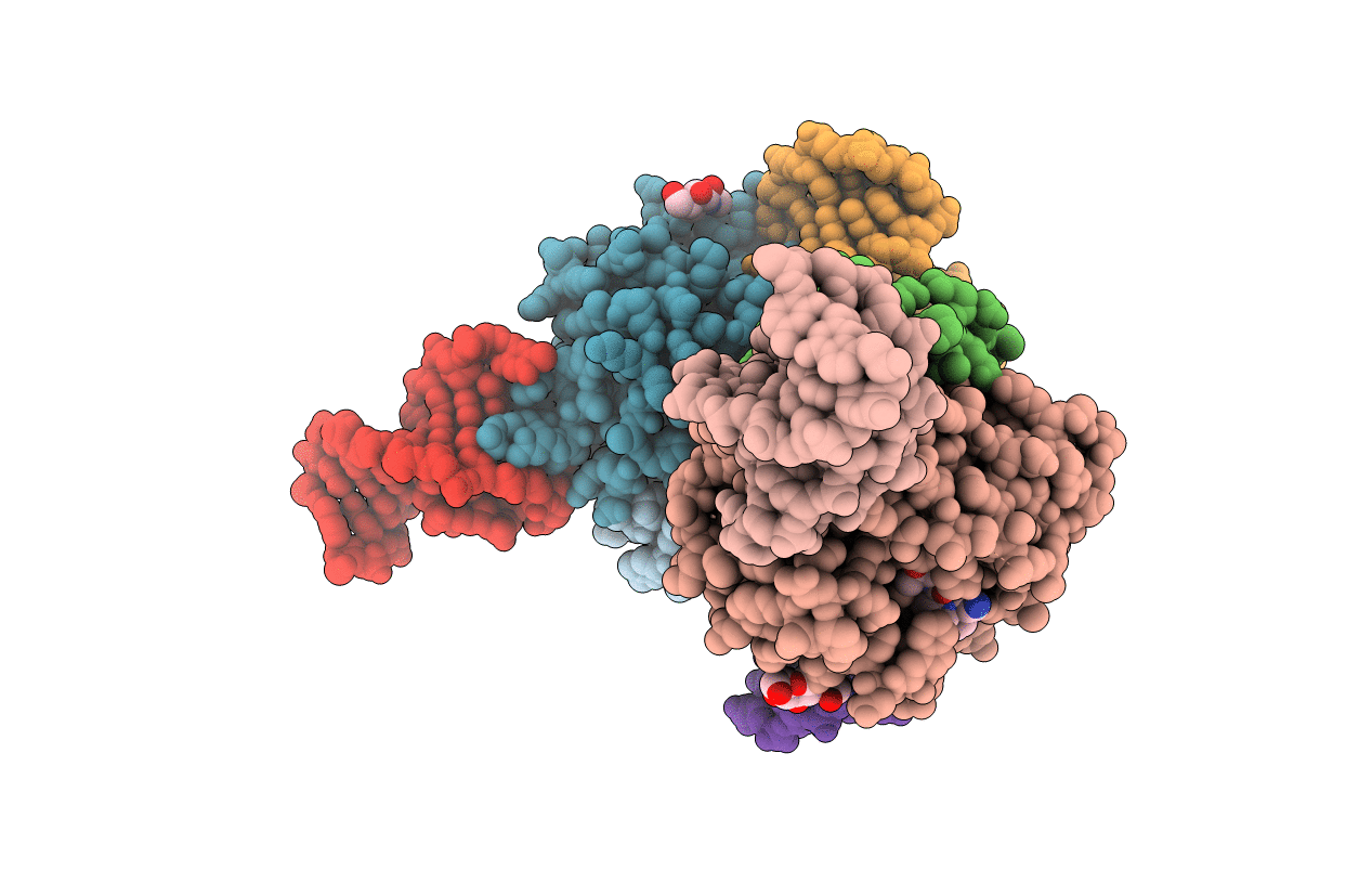 7NTU image