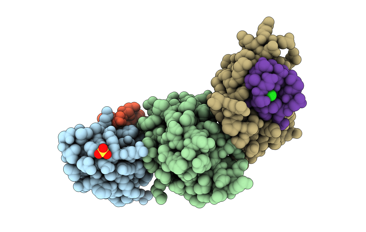 7NUS image