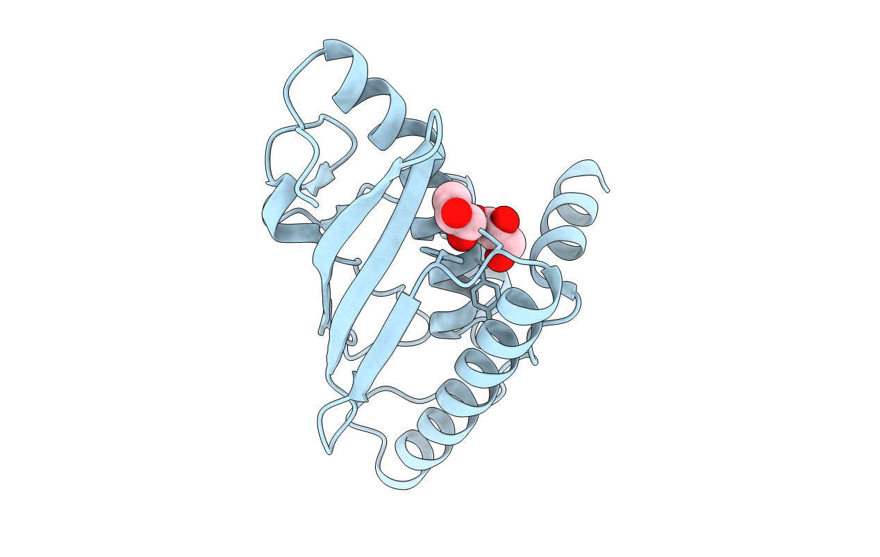 7NVJ image