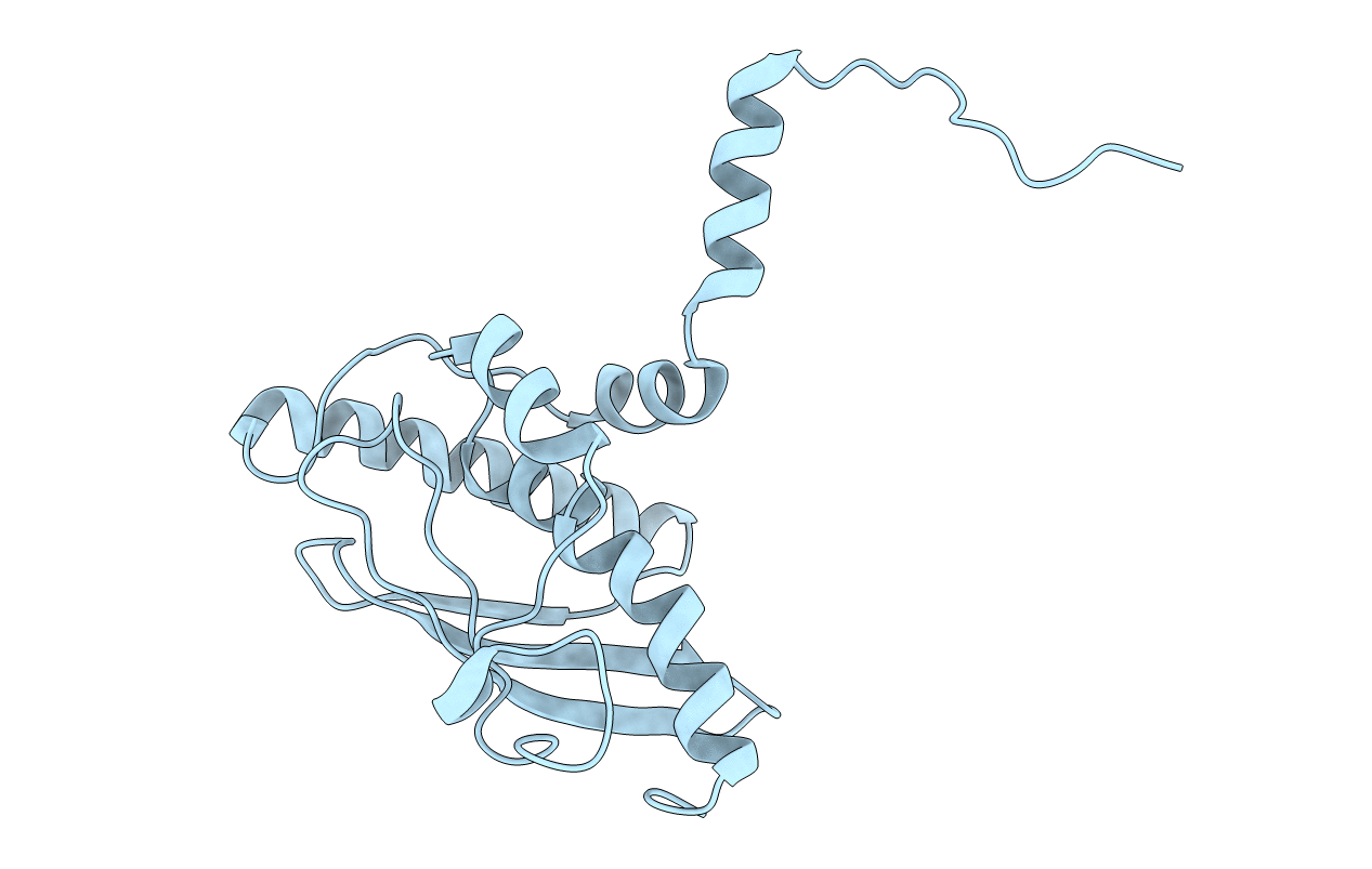7NVK image