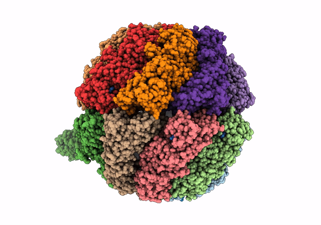 7NVL image
