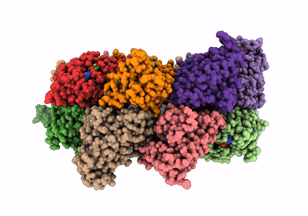 7NVO image