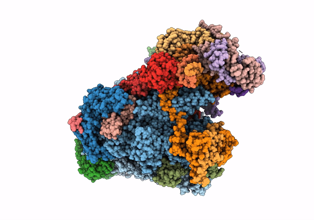7NVU image