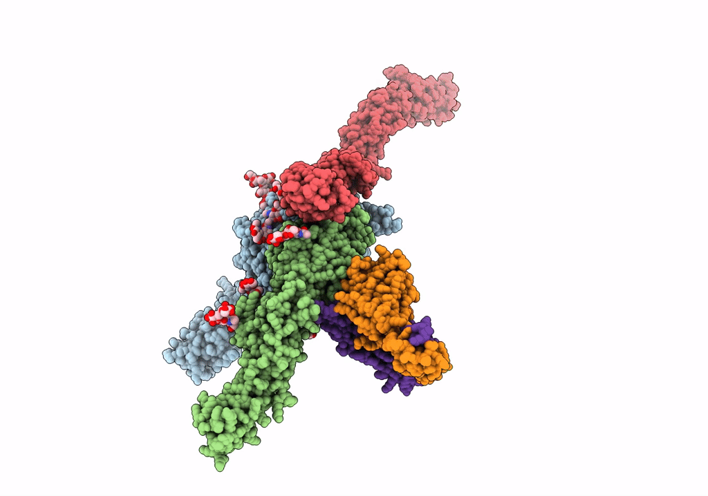 7nwl image