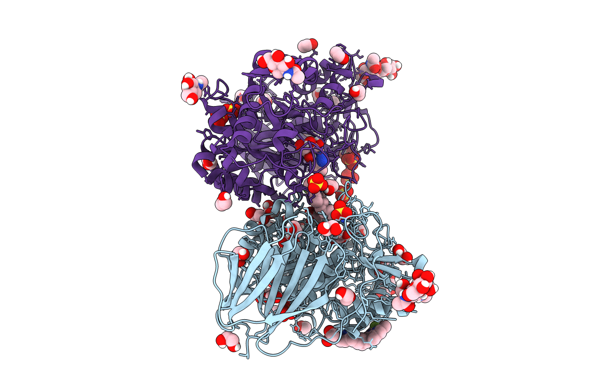 7NWV image