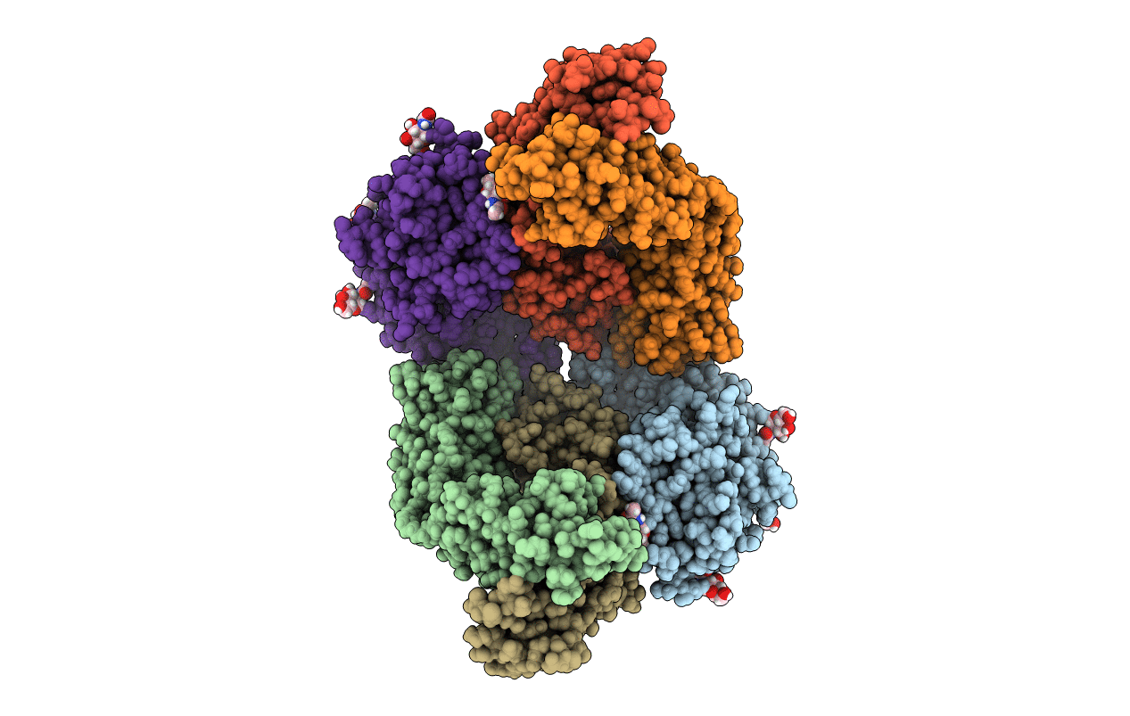 7NX3 image