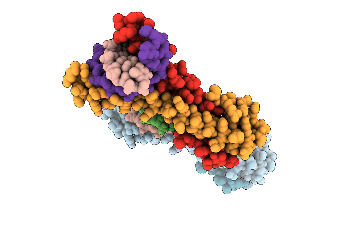 7NX5 image