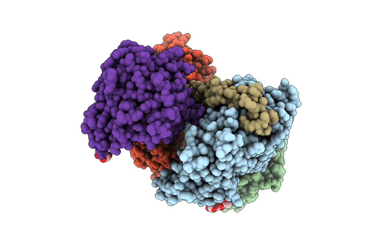 7NXV image