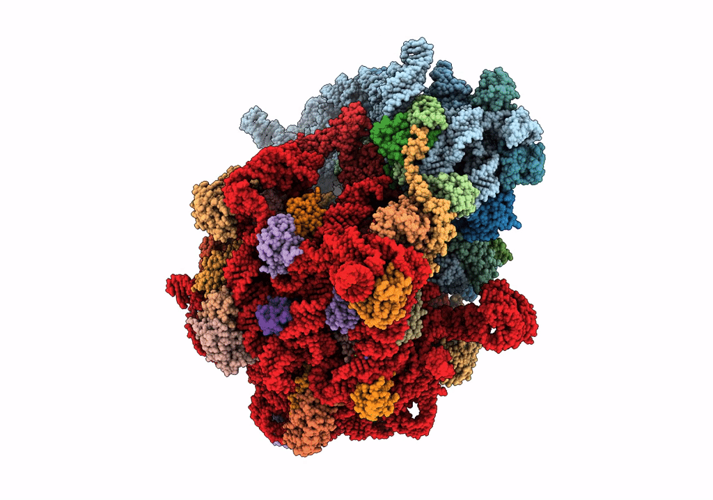 7O1C image