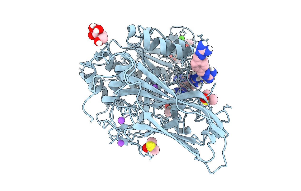 7O1W image