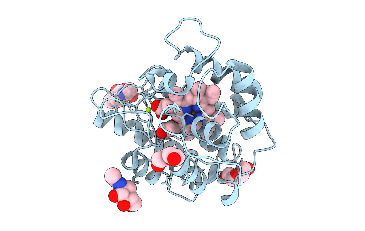 7O1X image