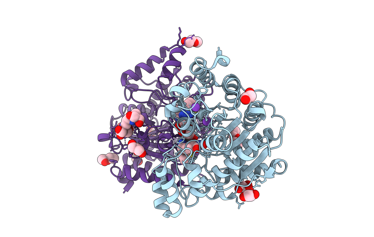 7O2P image