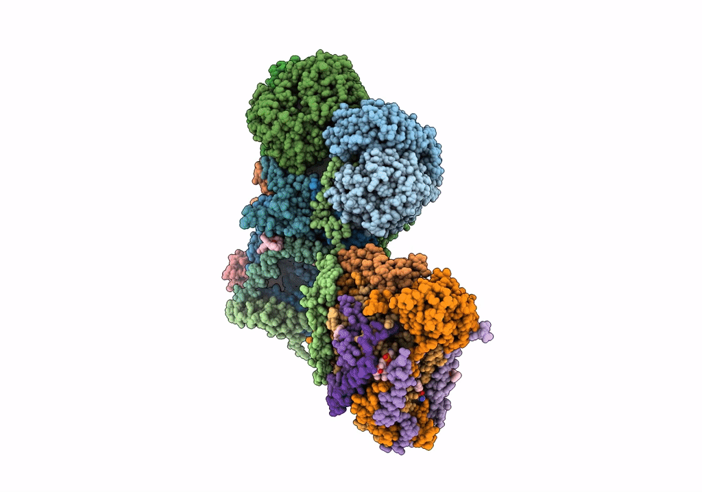 7O3C image
