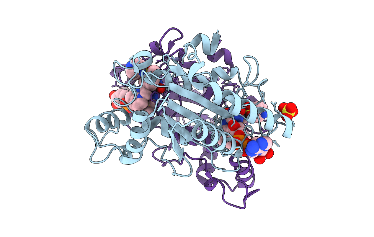 7O4D image