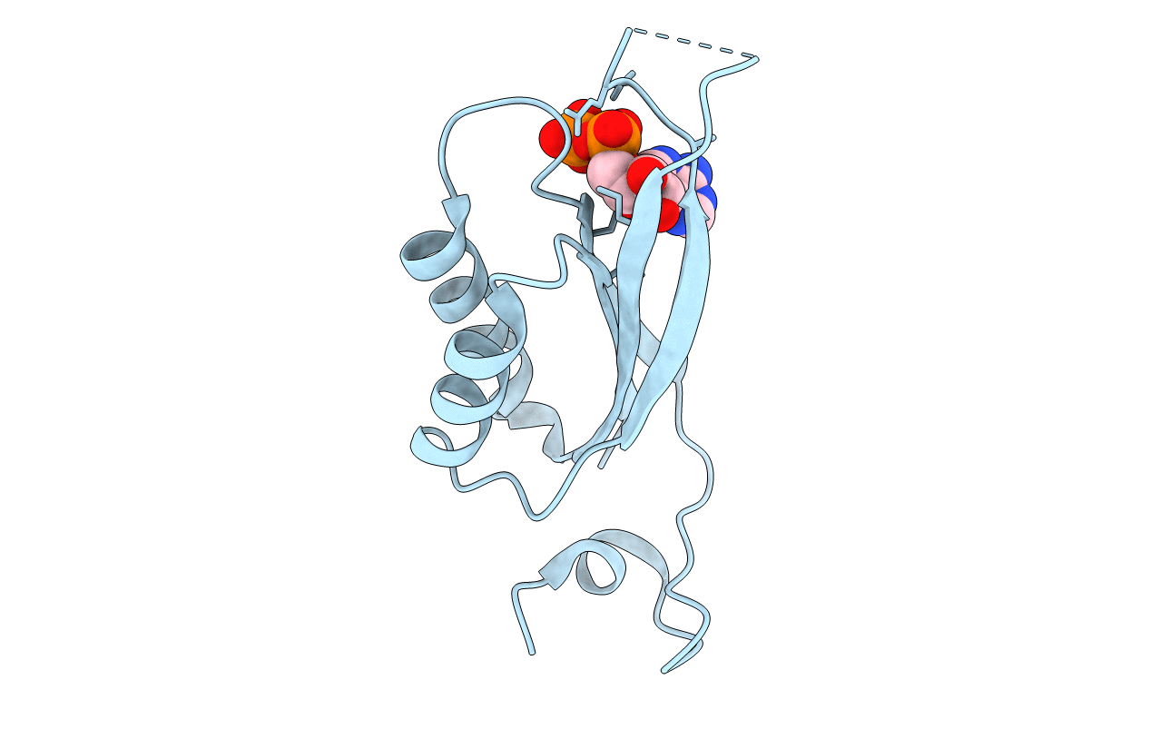 7O4X image
