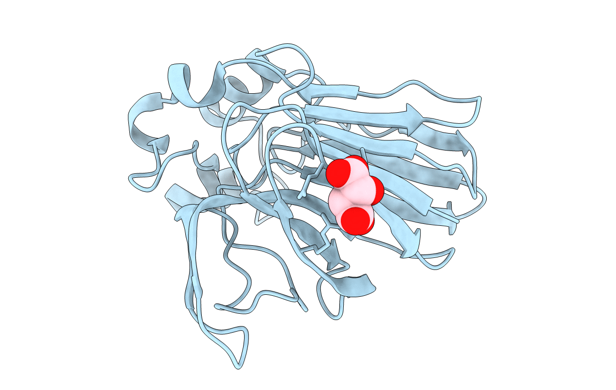 7O53 image