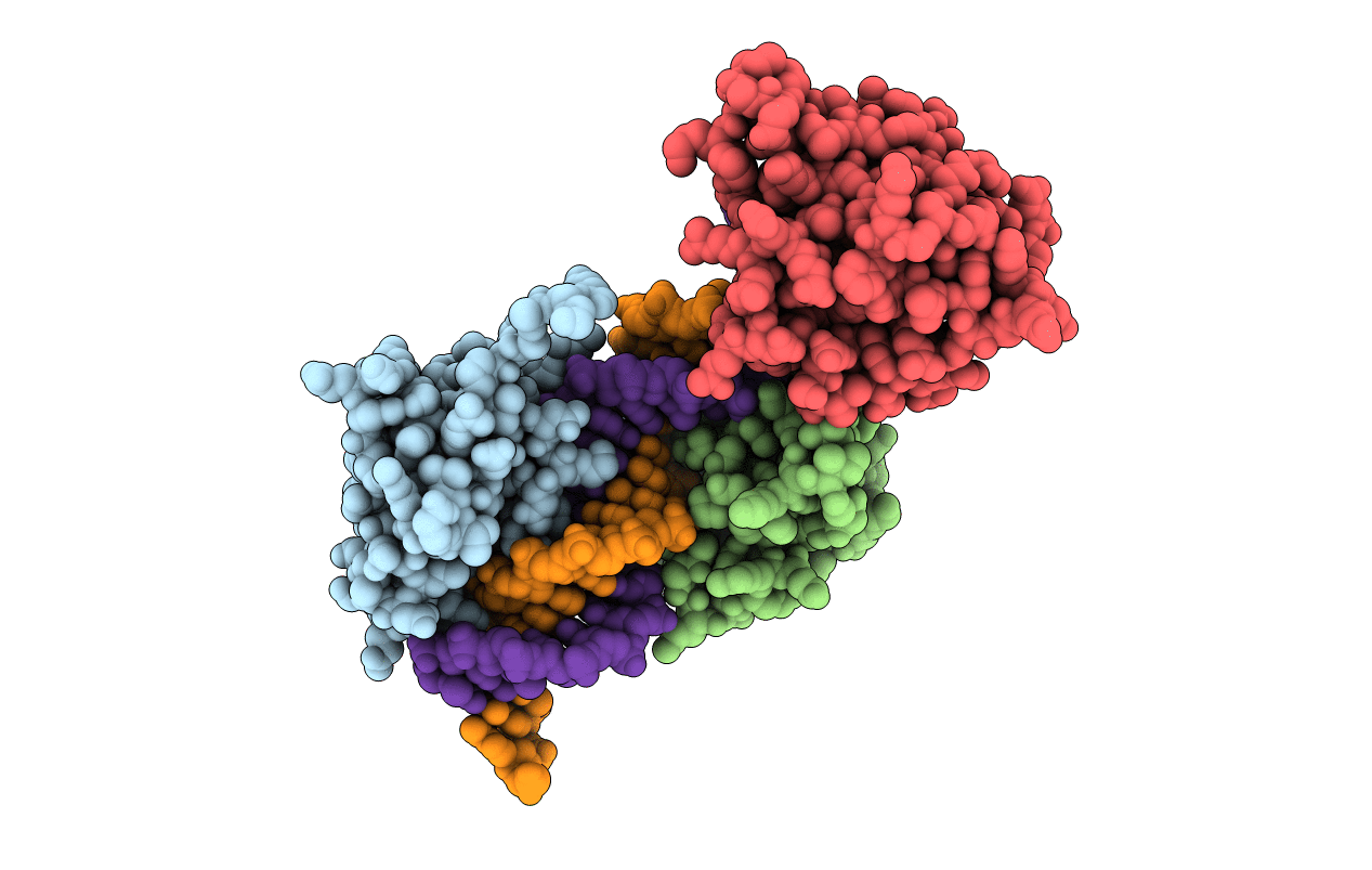 7O56 image