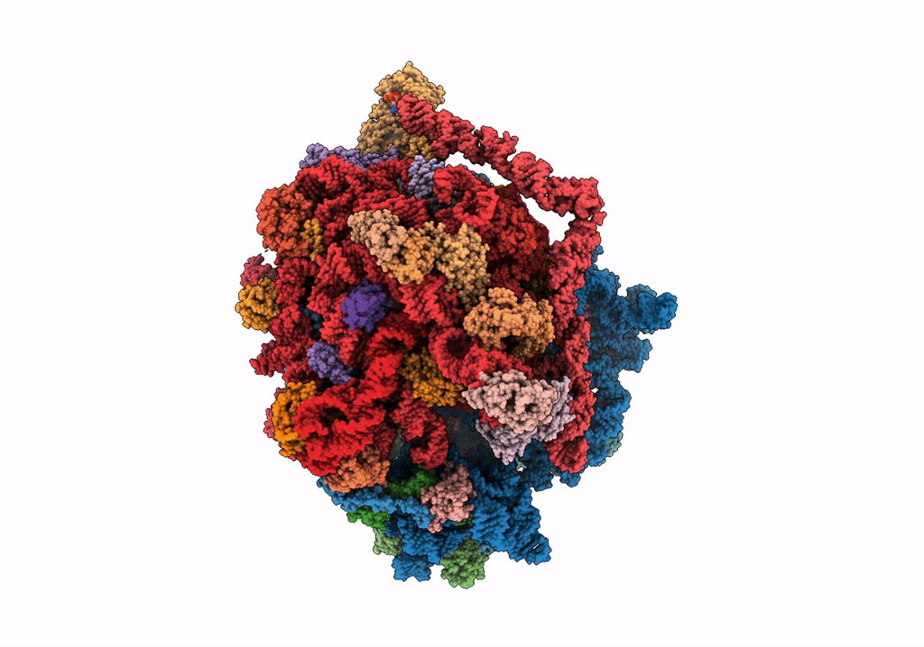 7O5B image