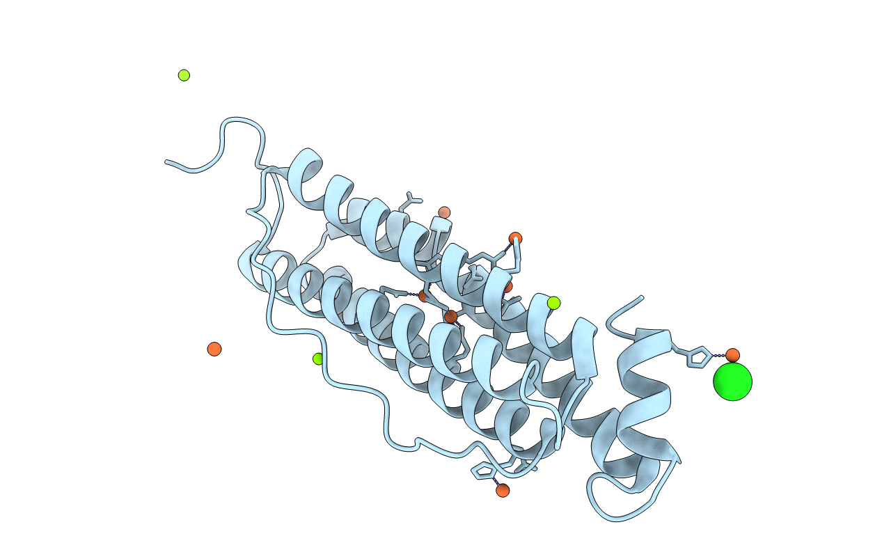 7O6D image