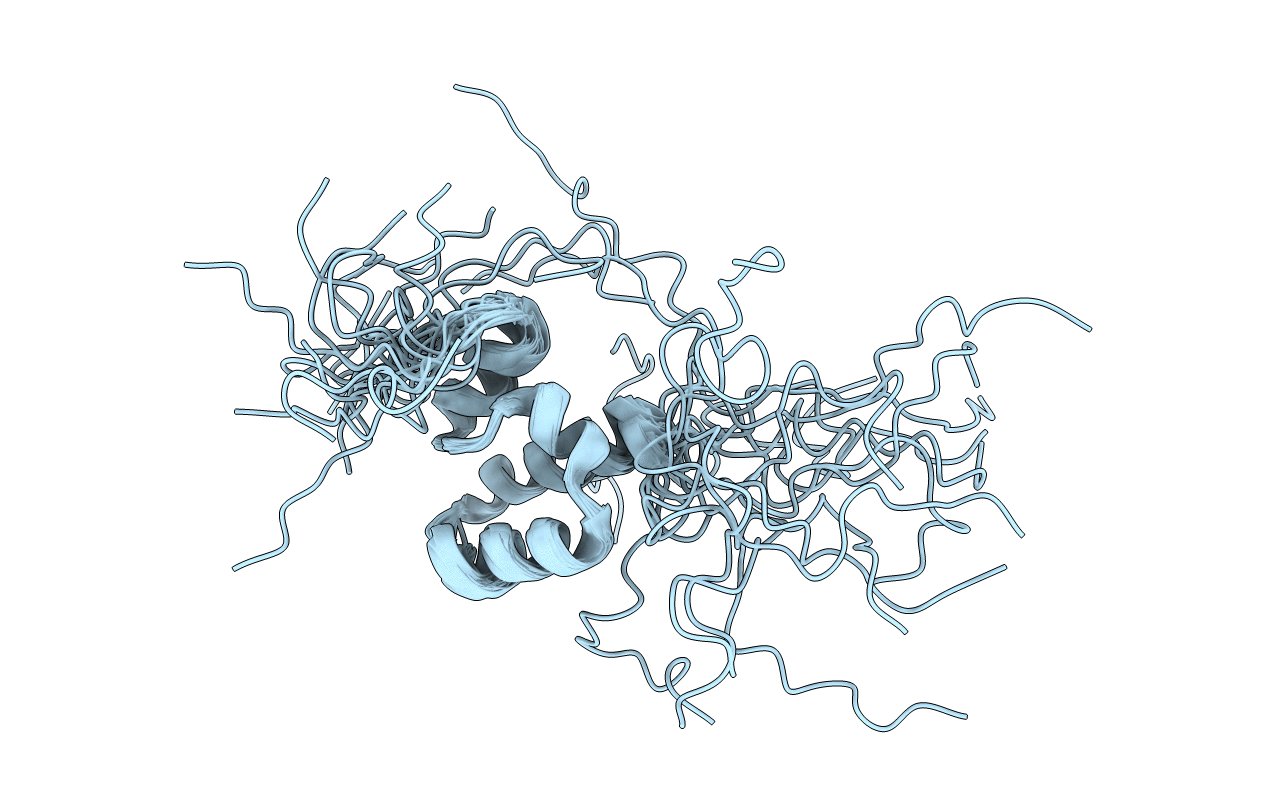 7O7B image