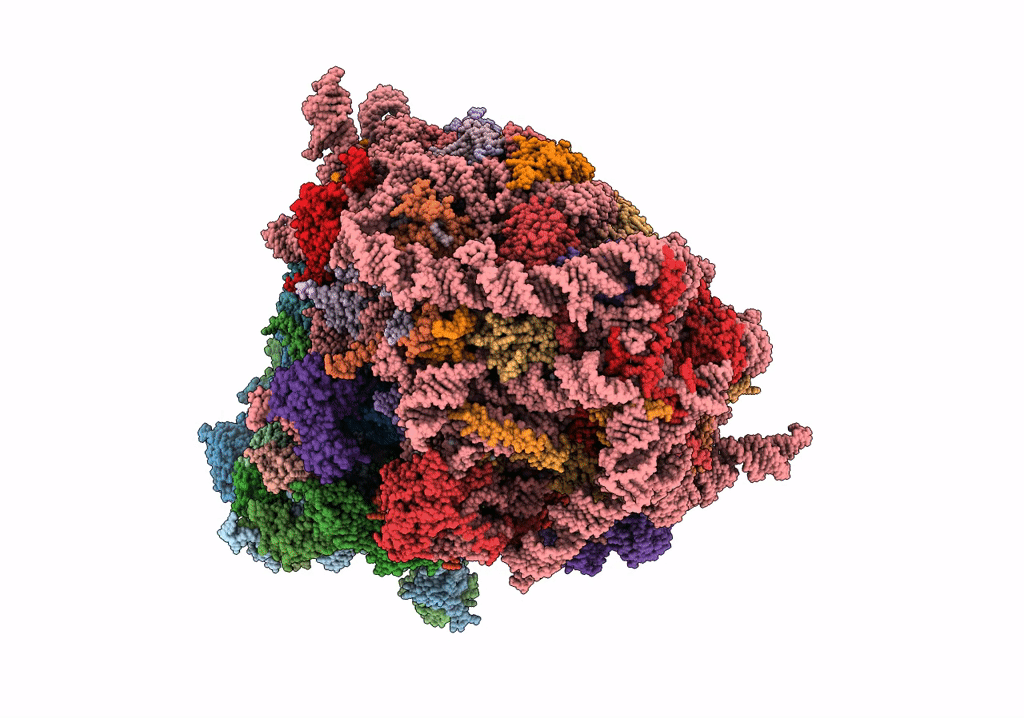7O81 image