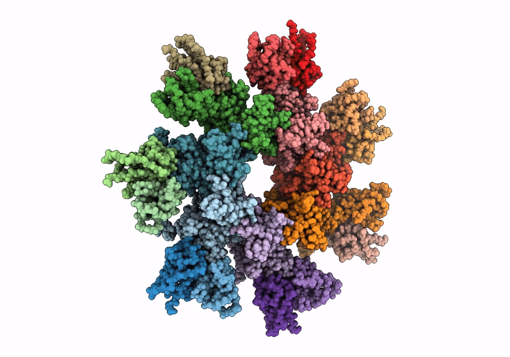 7O85 image