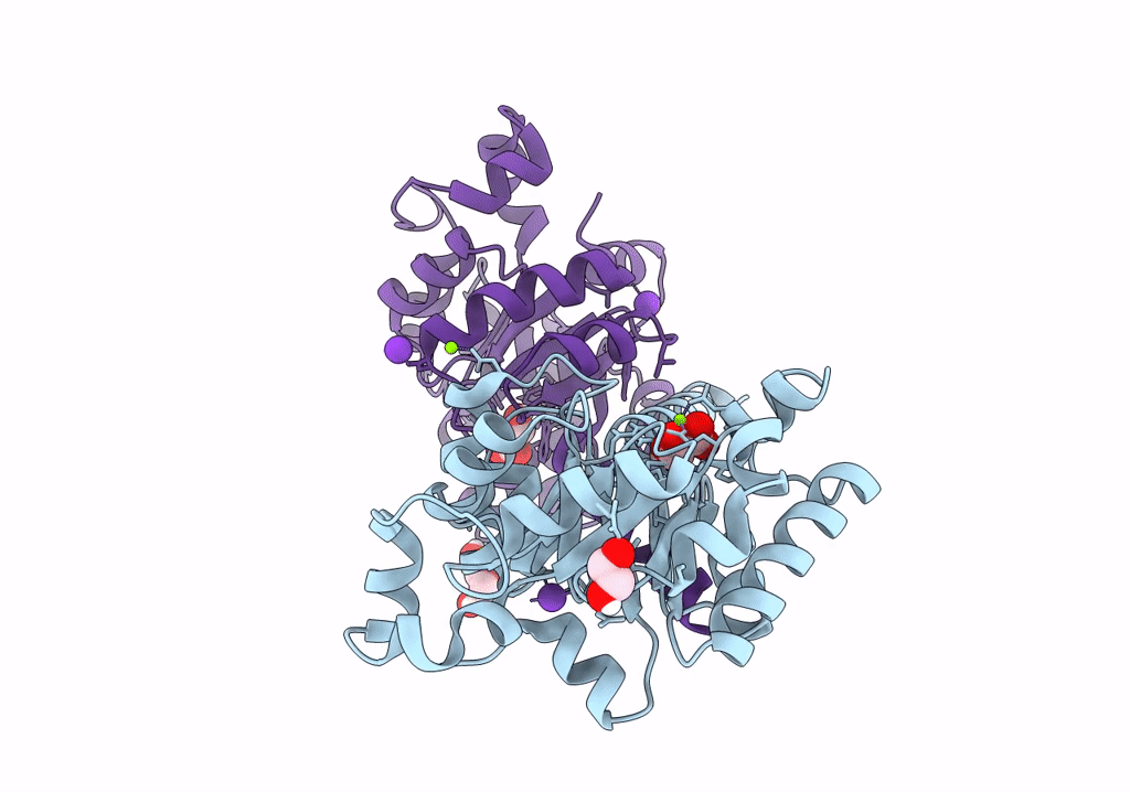 7O87 image