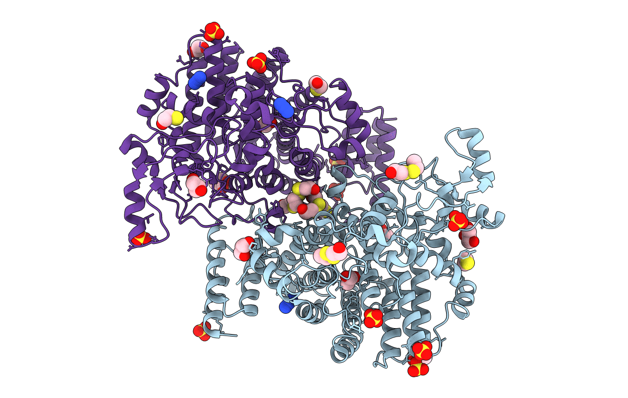 7O8C image