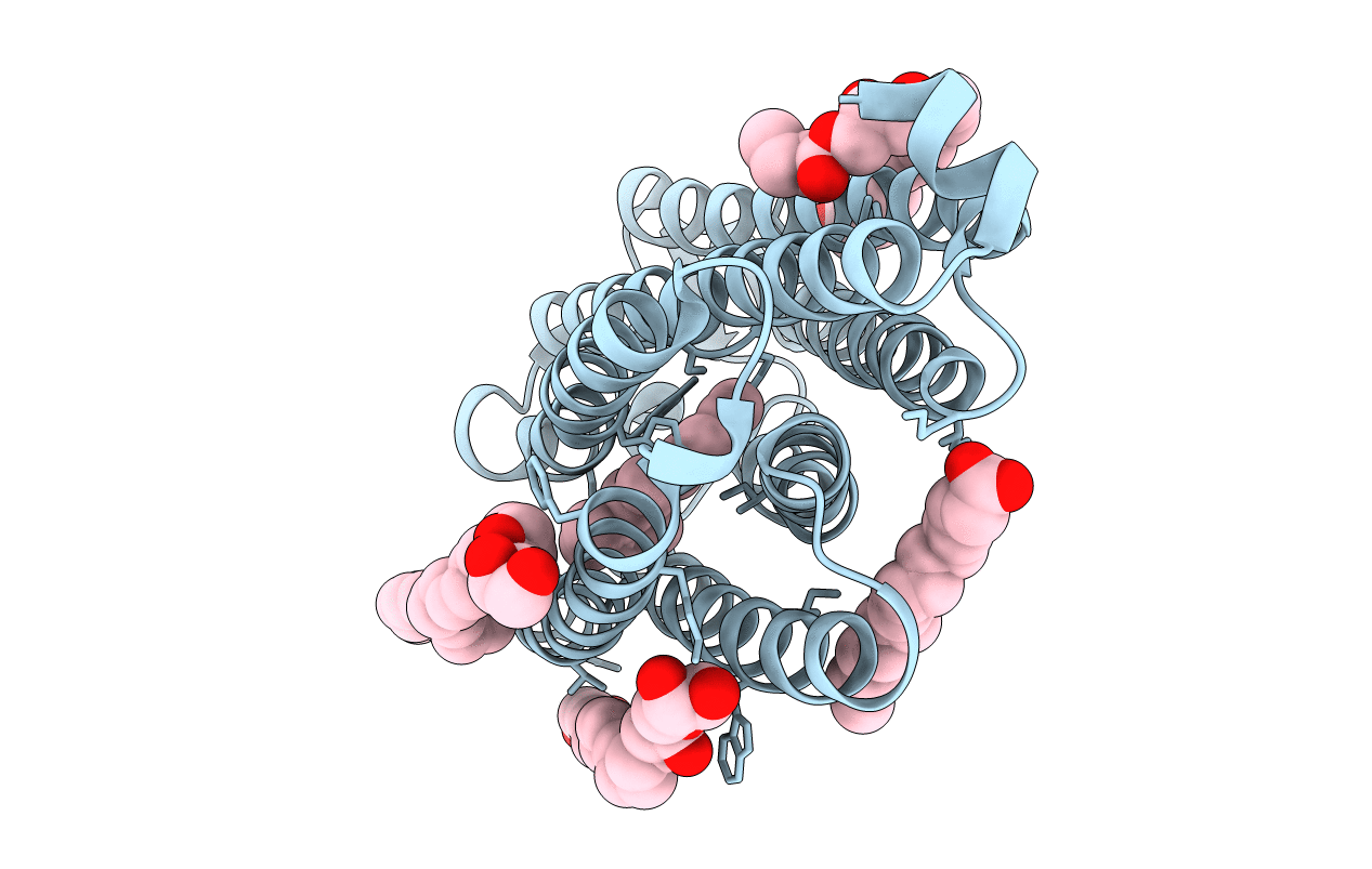 7O8H image
