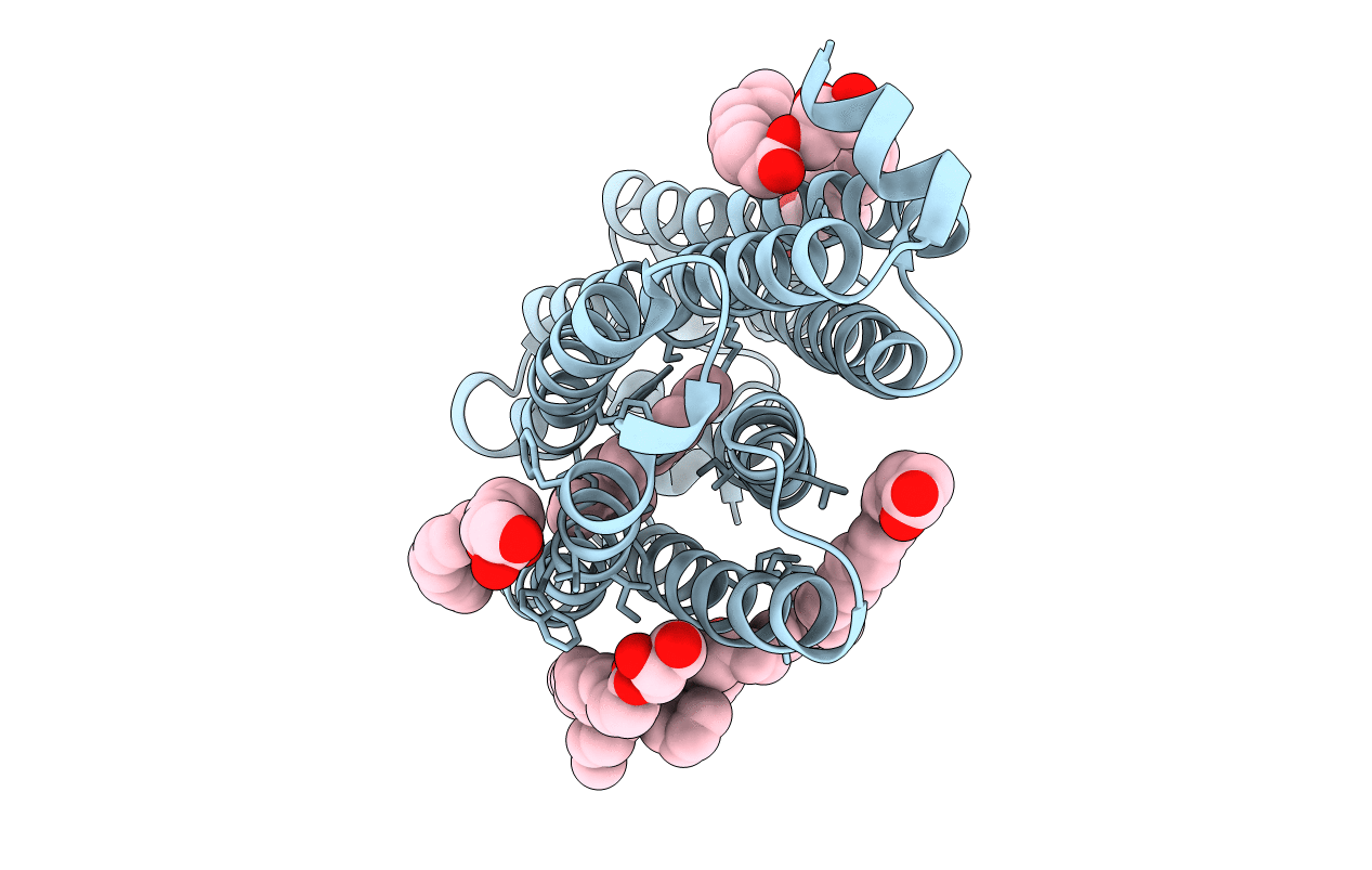 7O8S image
