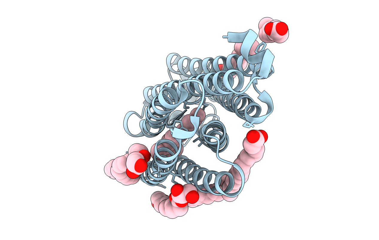 7O8Z image