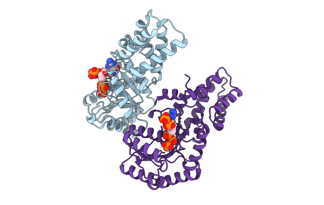 7O9H image